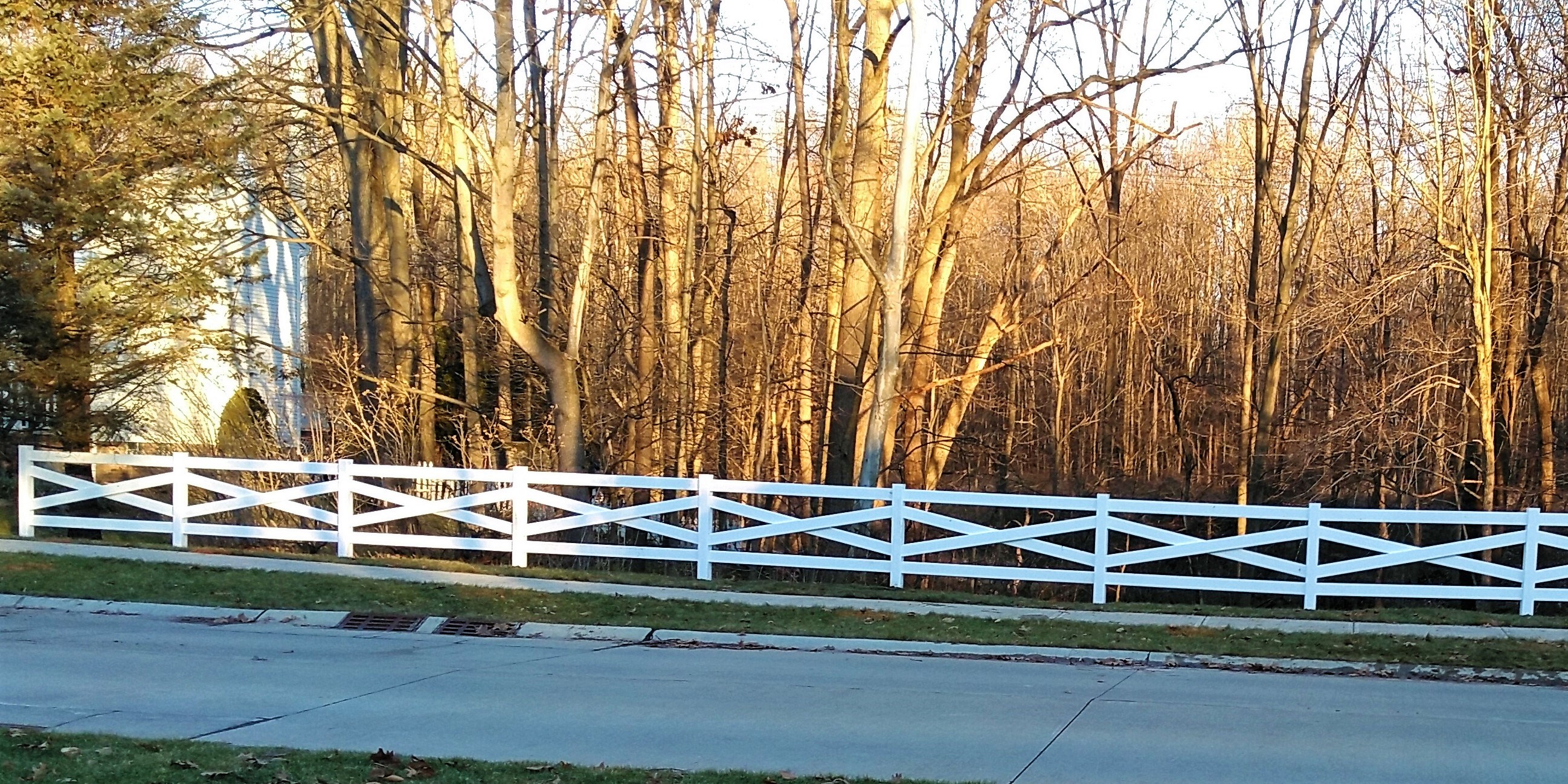 Custom Wood Fence